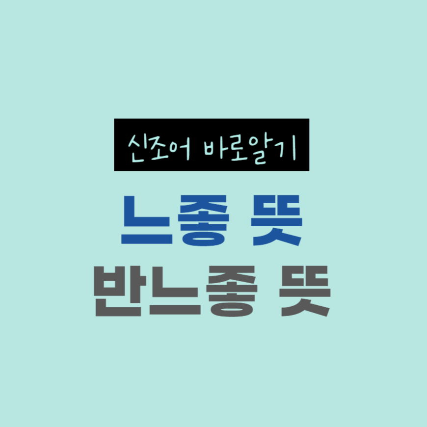 느좋 반느좋 뜻 의미 (2024 신조어, 요즘 유행어)