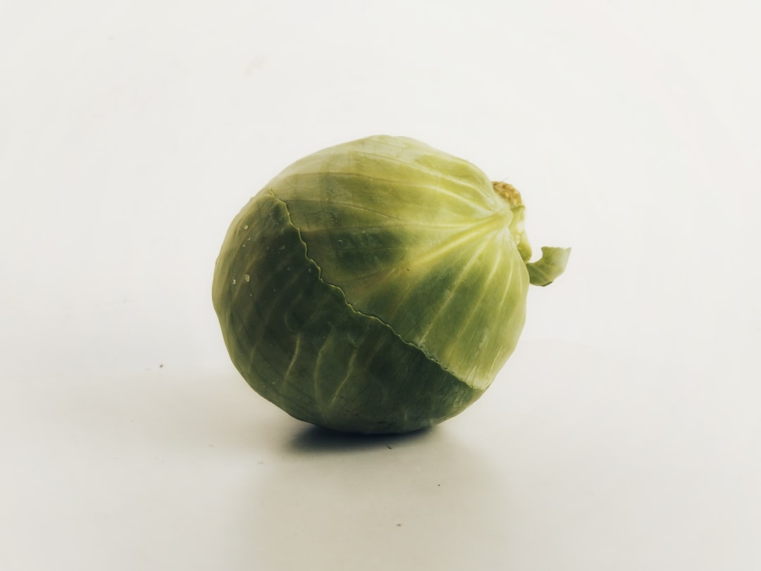pickled cabbage