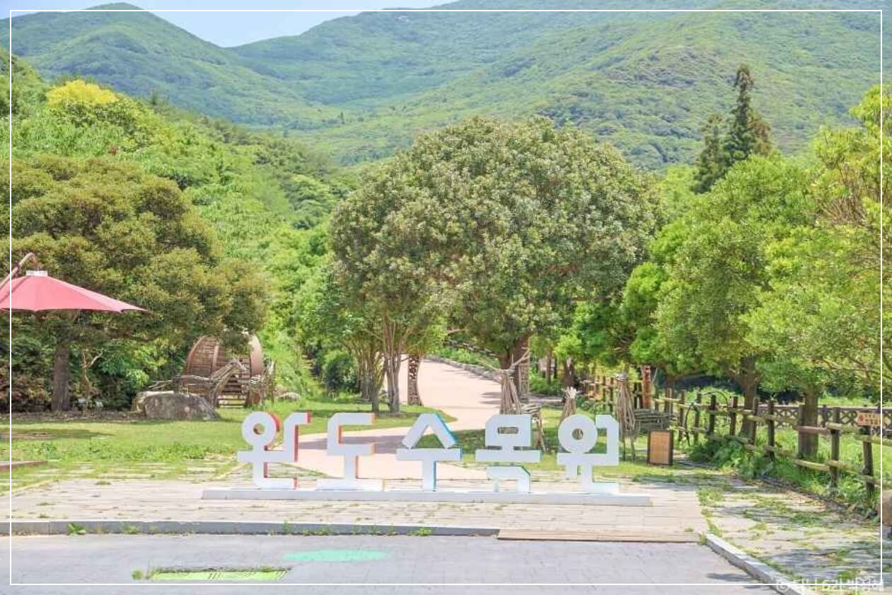 완도 가볼만한곳 베스트10 완도수목원