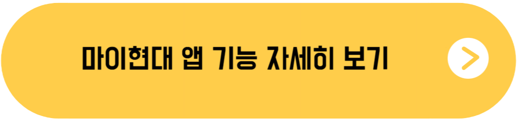 마이현대 앱 기능