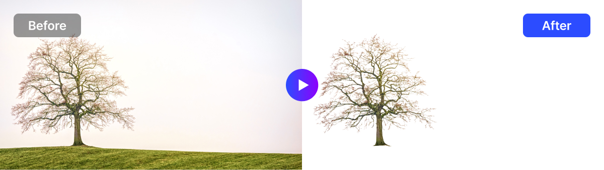 How to Use Draph Art Background Removal 5