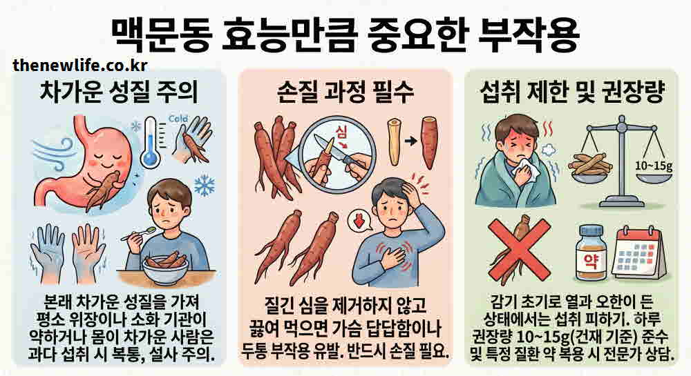맥문동 효능 부작용