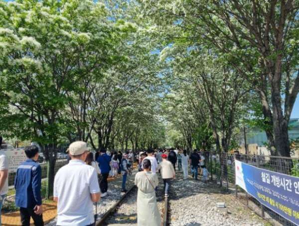 전주 이팝나무 철길만 맛집 주차 일정 개방기간 야간 만개