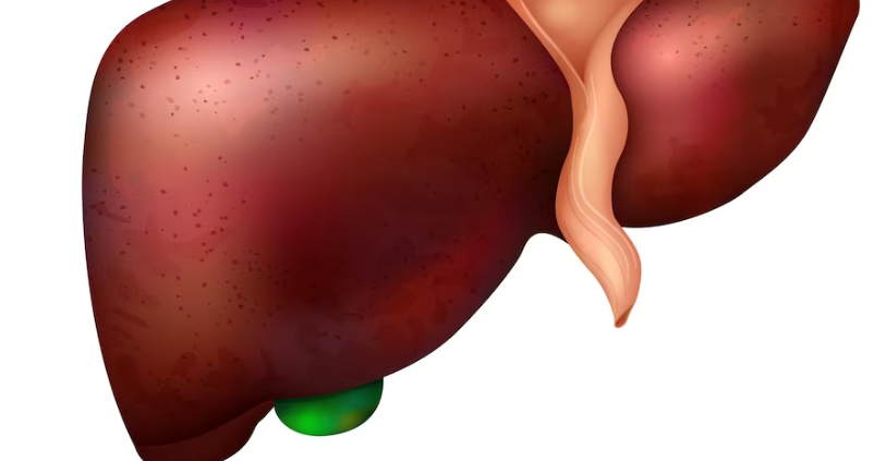 담도 폐색을 치료하는 방법 수술