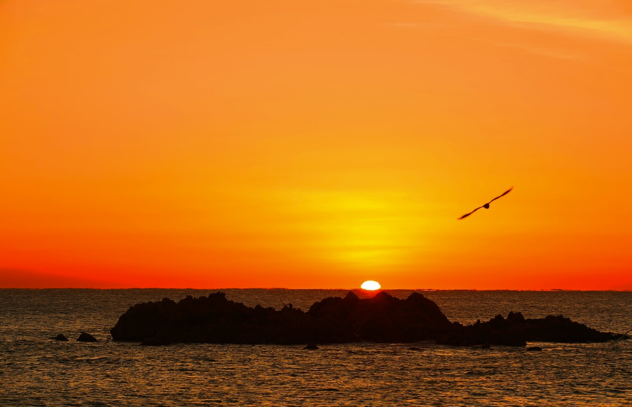 아이와 함께하는 울산여행 - 울산 대왕암