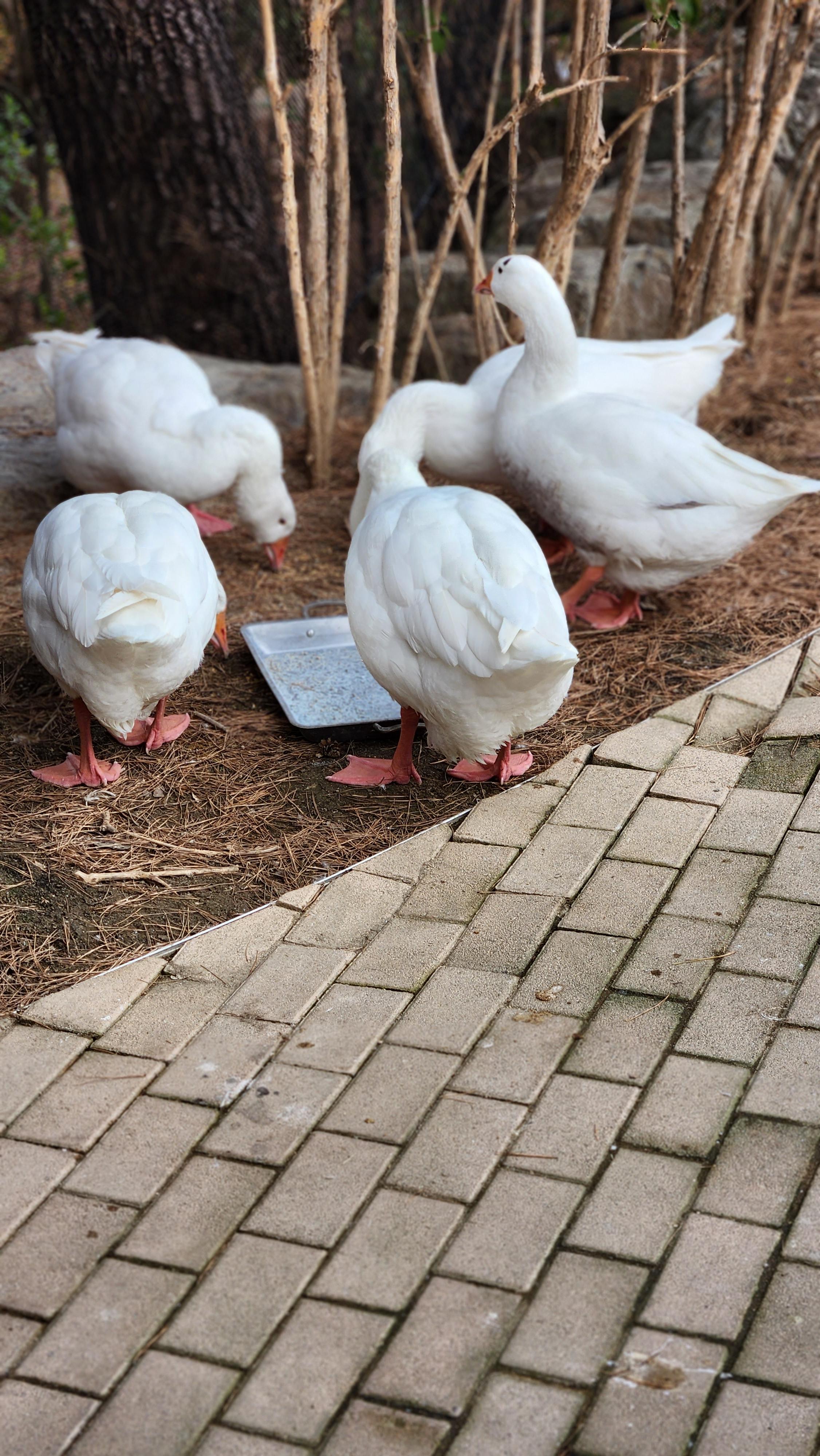 대구-네이처파크