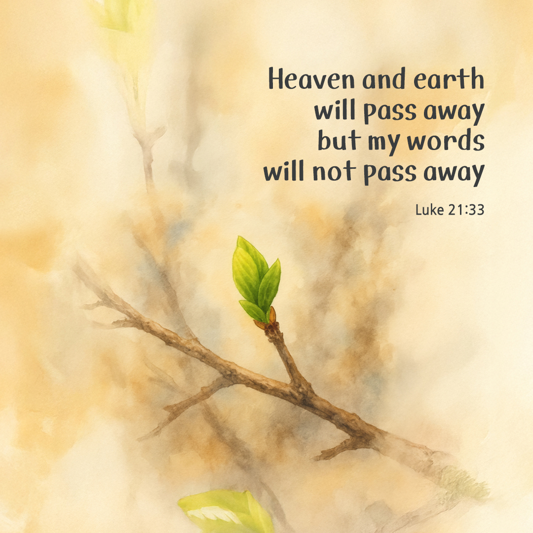 Heaven and earth will pass away, but my words will not pass away. (Luke 21:33) by pieonane Daily Bible quote image