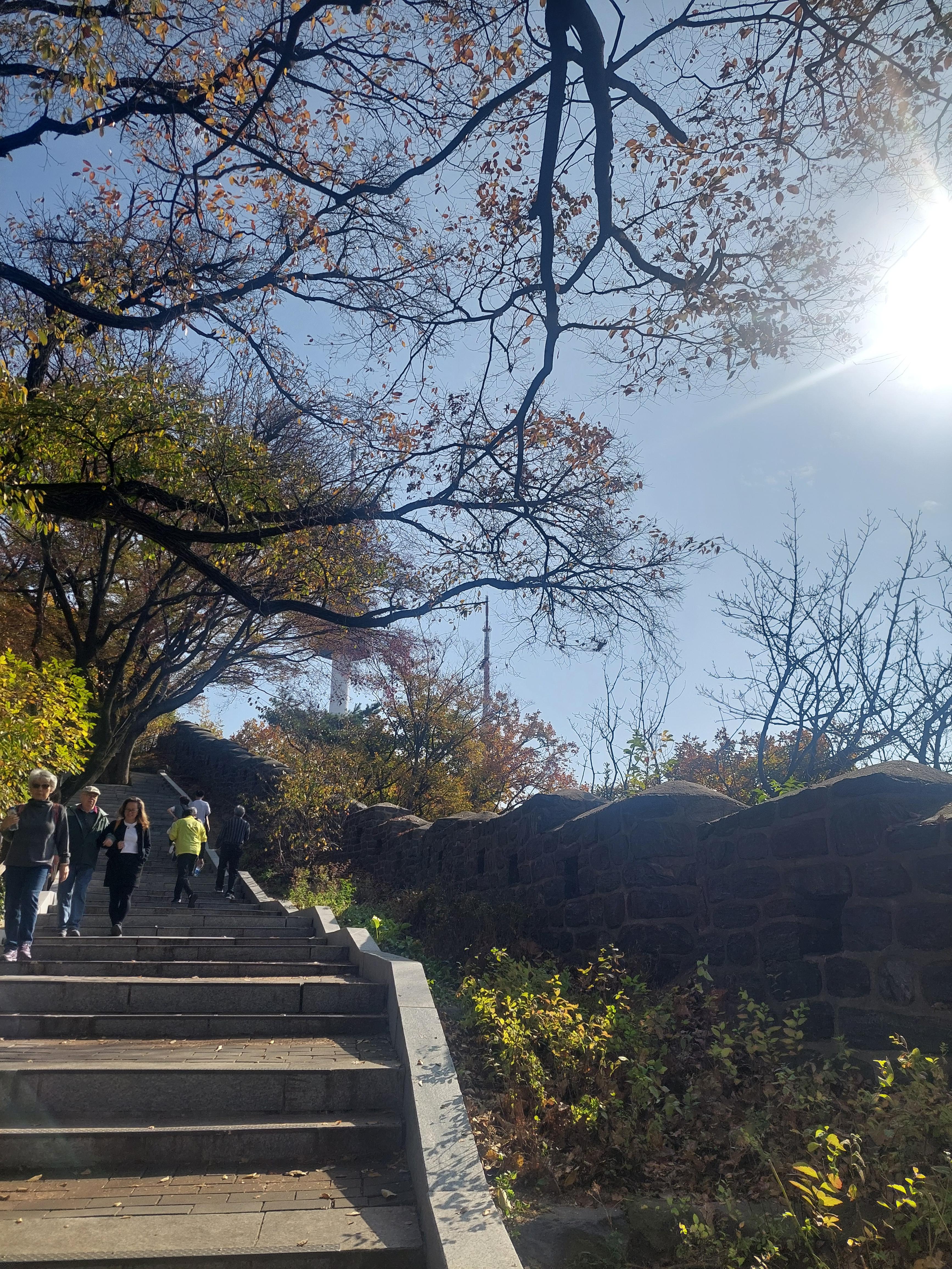 남산