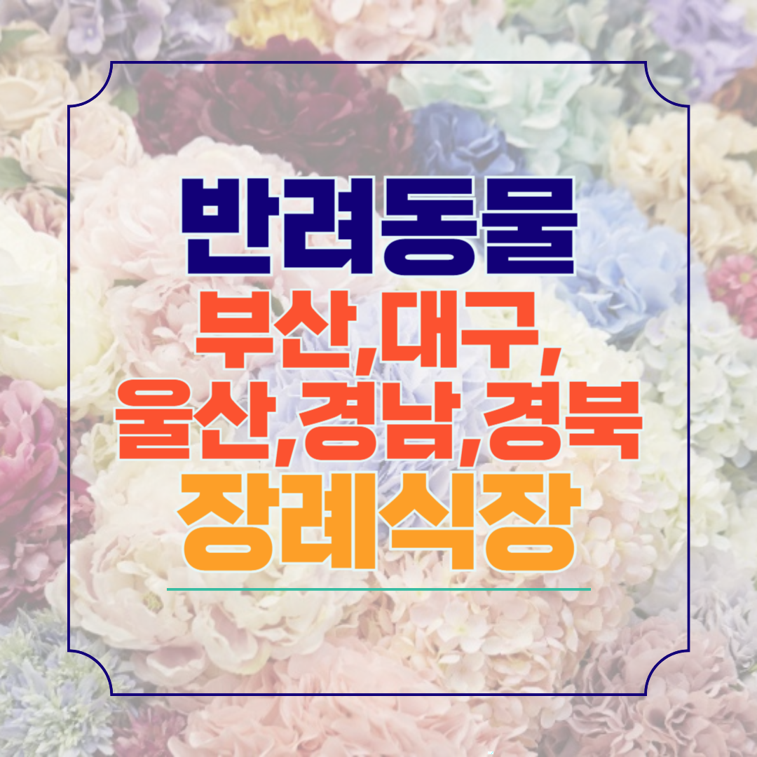 부산&#44; 대구&#44; 울산&#44; 경남&#44; 경북 애완동물 장례식장