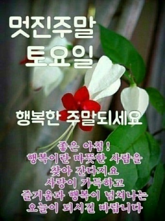 4. 토요일 인사말 11