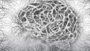 뇌전증 증상&amp;#44; 원인&amp;#44; 치료법 총 정리 (2025 ver.)