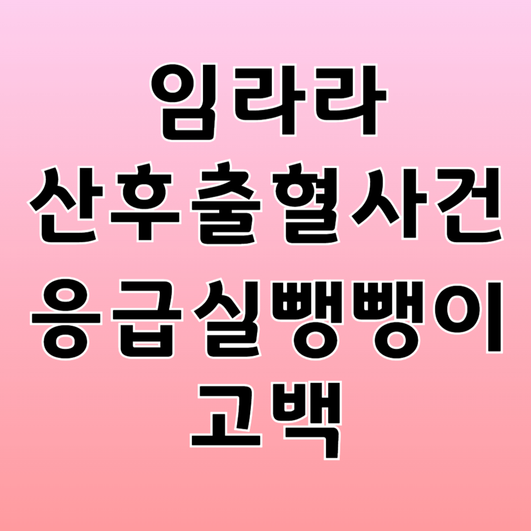 임라라 응급실 뺑뺑이