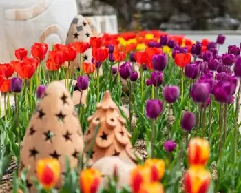 퍼스트가든 봄꽃축제 블루밍가든_13