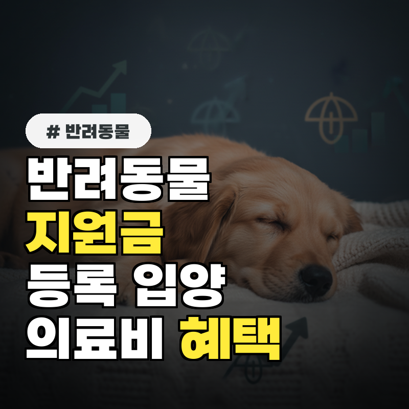 반려동물 지원금 등록비,입양비,의료비 혜택 1인당 얼마