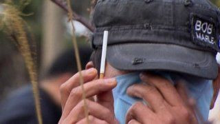 꼬꼬무 봉대산 불다람쥐