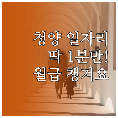 청양군 노인복지 일자리 정보 및 시니..