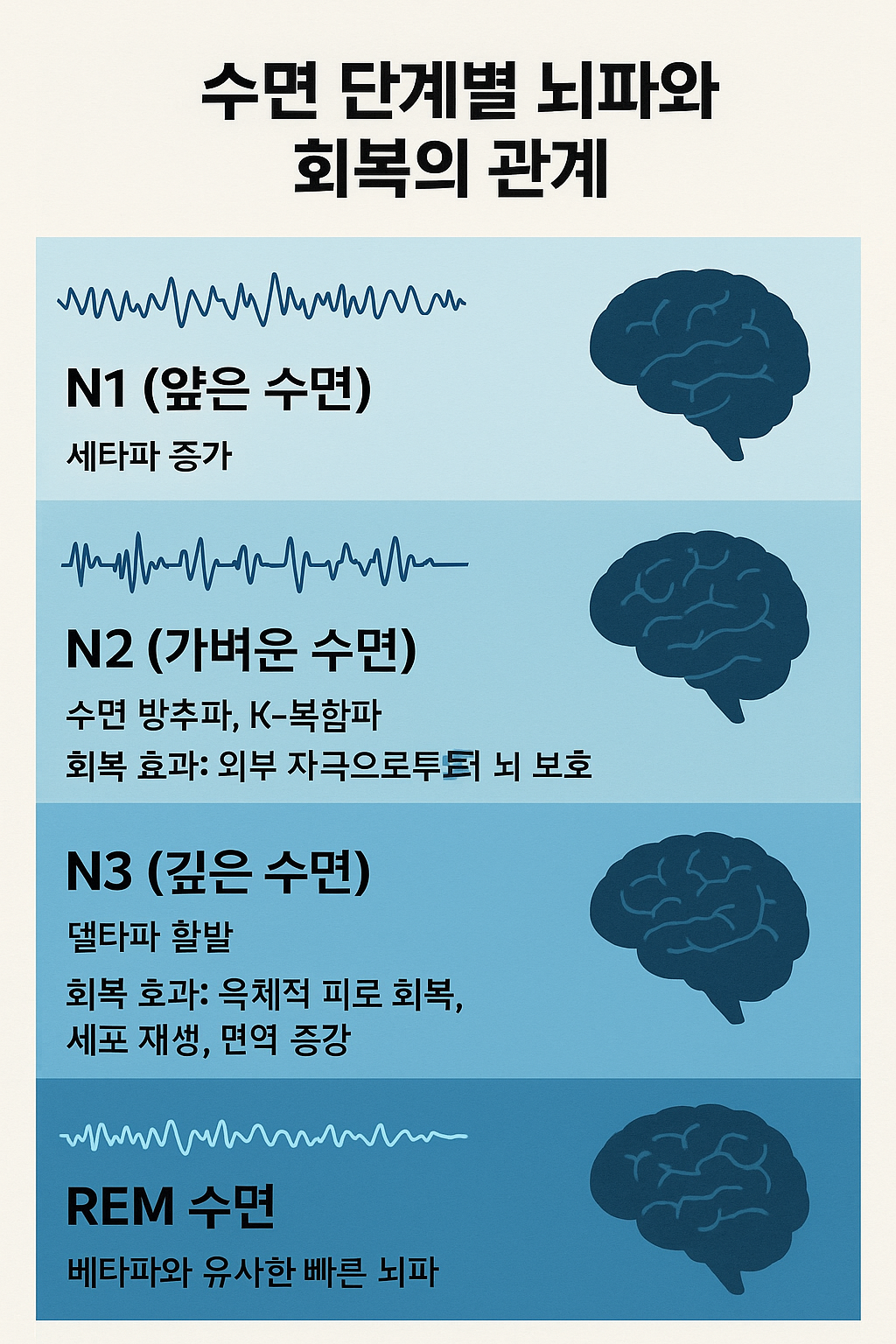 깊은 수면 단계와 뇌파 변화: 회복력 높이는 과학적 수면법