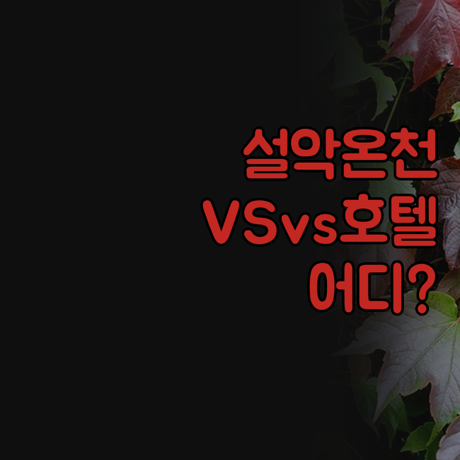 설악 온천 맘모스 리조텔 더 호텔 속..