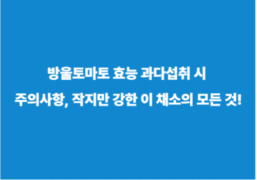 방울토마토 효능 과다섭취 시 주의사항, 작지만 강한 이 채소의 모든 것!