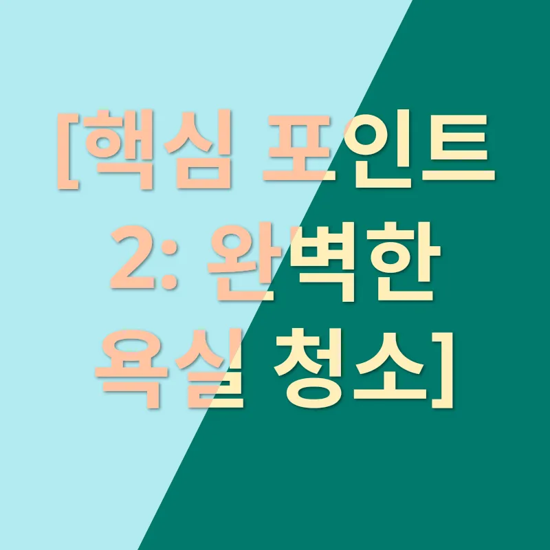이사청소_2
