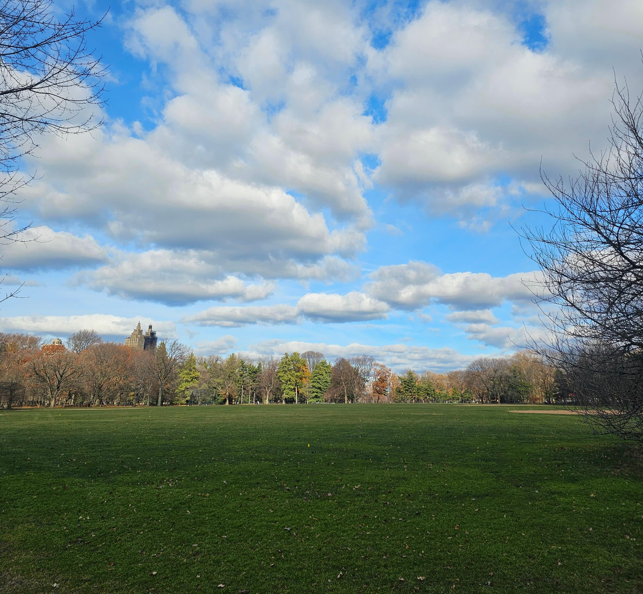 뉴욕 센트럴파크
