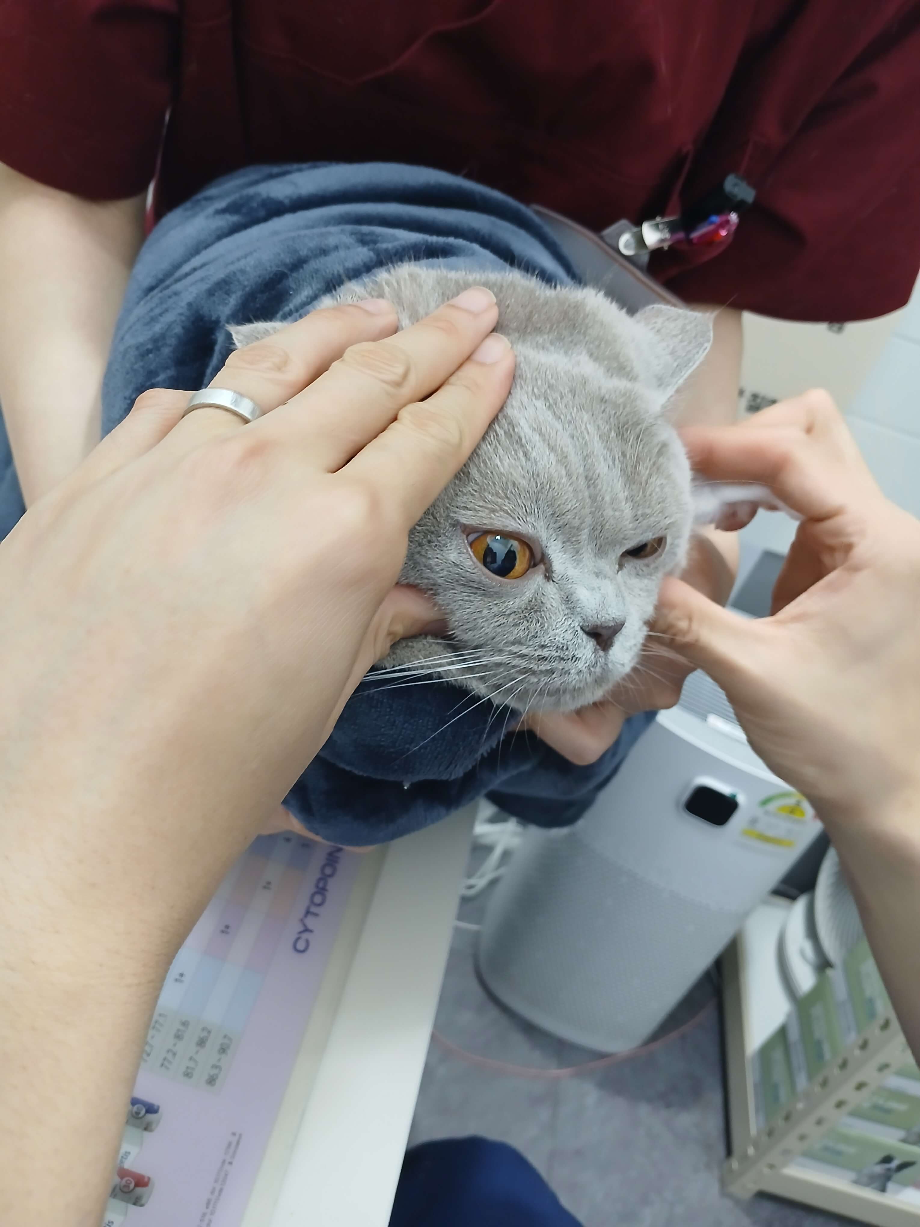 병원에 가서 예방 차원에서 검사 받고 있어요