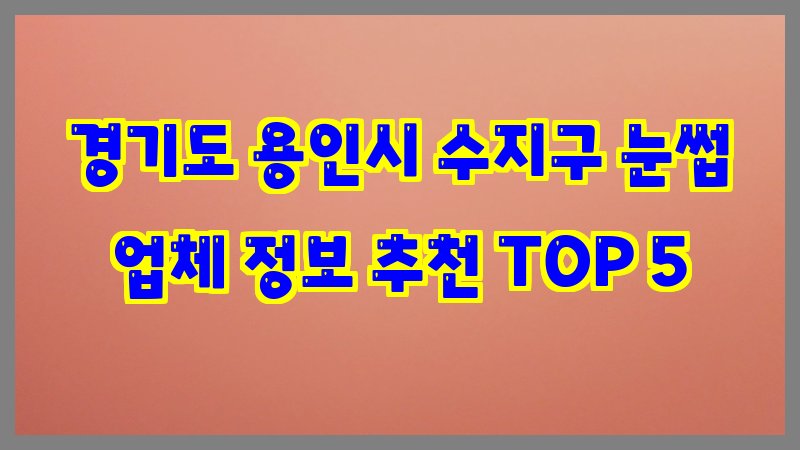경기도 용인시 수지구 눈썹