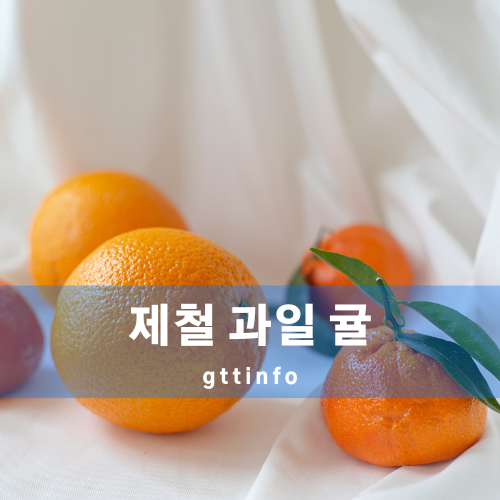 귤의 효능