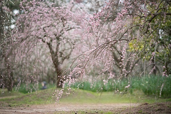 한림공원