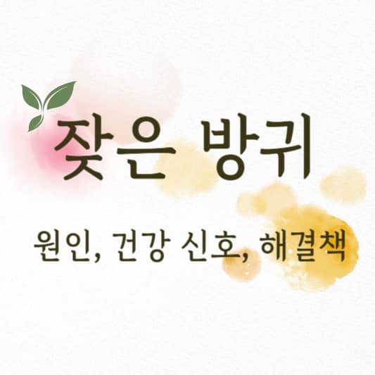 잦은 방귀: 원인, 건강 신호, 그리고 해결책