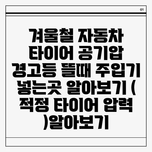 겨울철 자동차 타이어 공기압 경고등 뜰때 주입기 넣는곳 알아보기 ( 적정 타이어 압력 )알아보기
