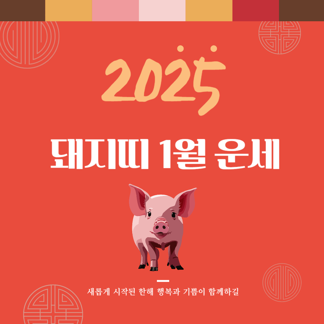 2025년 을사년 『돼지띠』 1월 운세