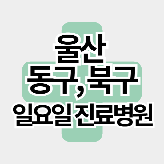 울산_동구_북구_일요일진료병원_썸네일