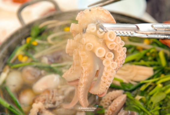 제 23회 2025 서천 동백꽃 쭈꾸미 축제 미리 알아보기