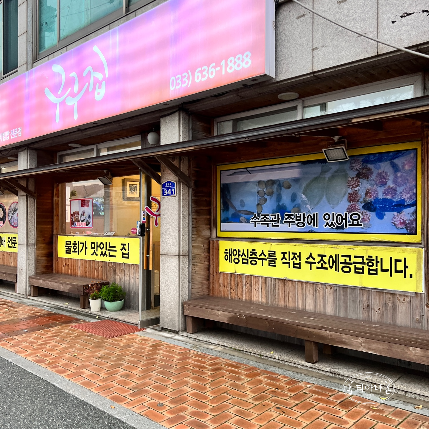 속초 등대해수욕장 근처에 있었던 물회집 &amp;#39;구구집&amp;#39;