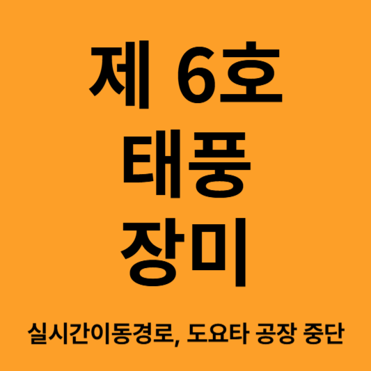 태풍 장미