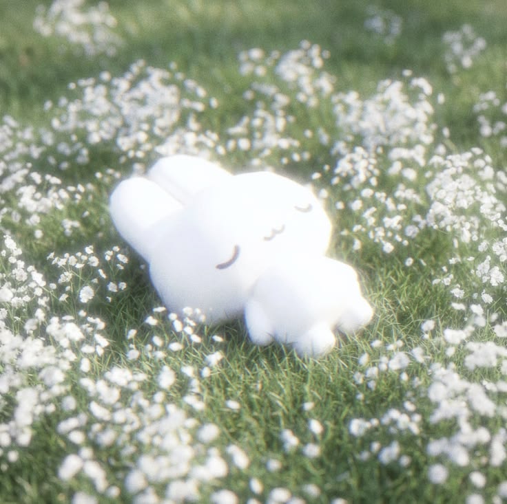 cover-img