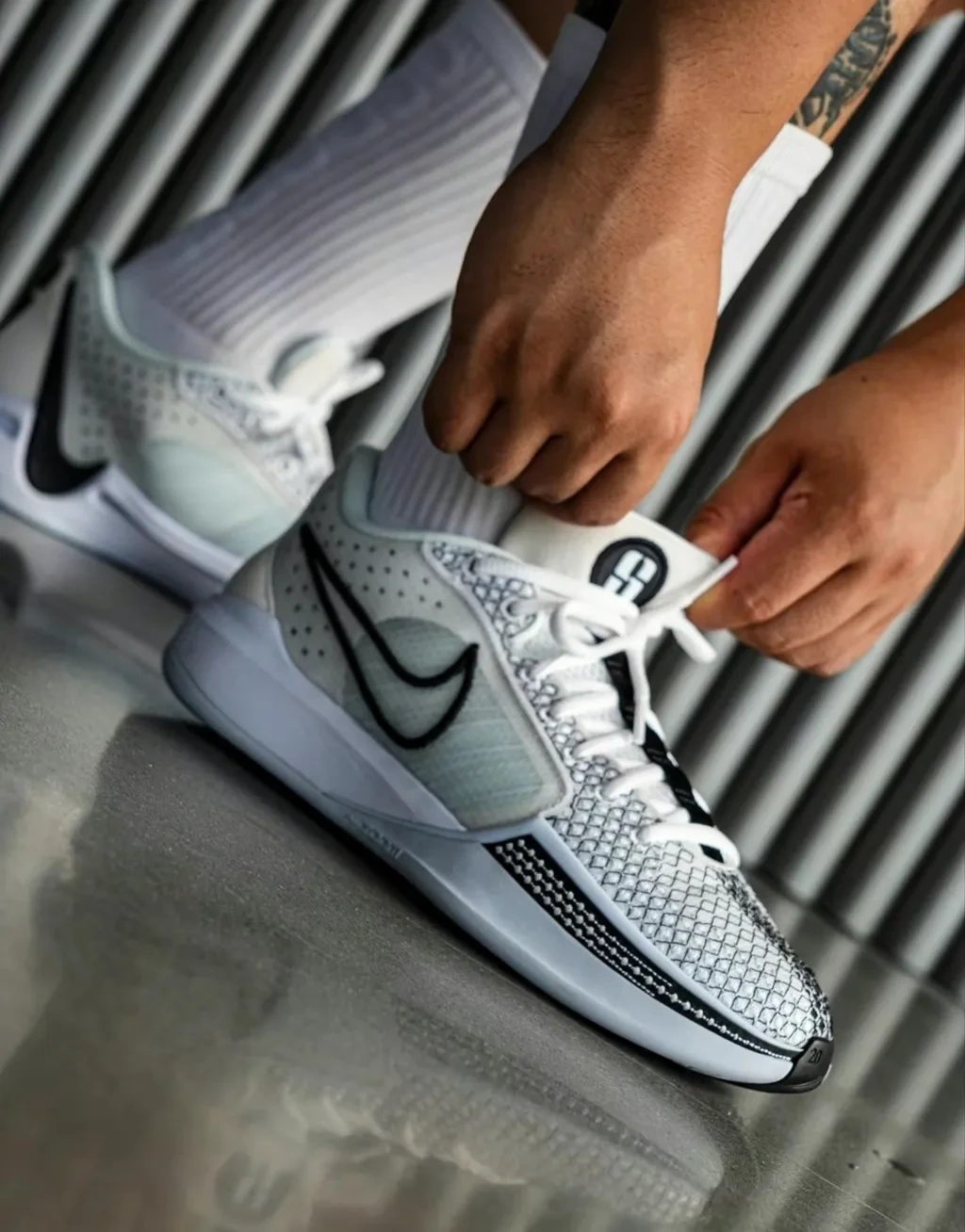 사브리나 1 2 비교 차이점