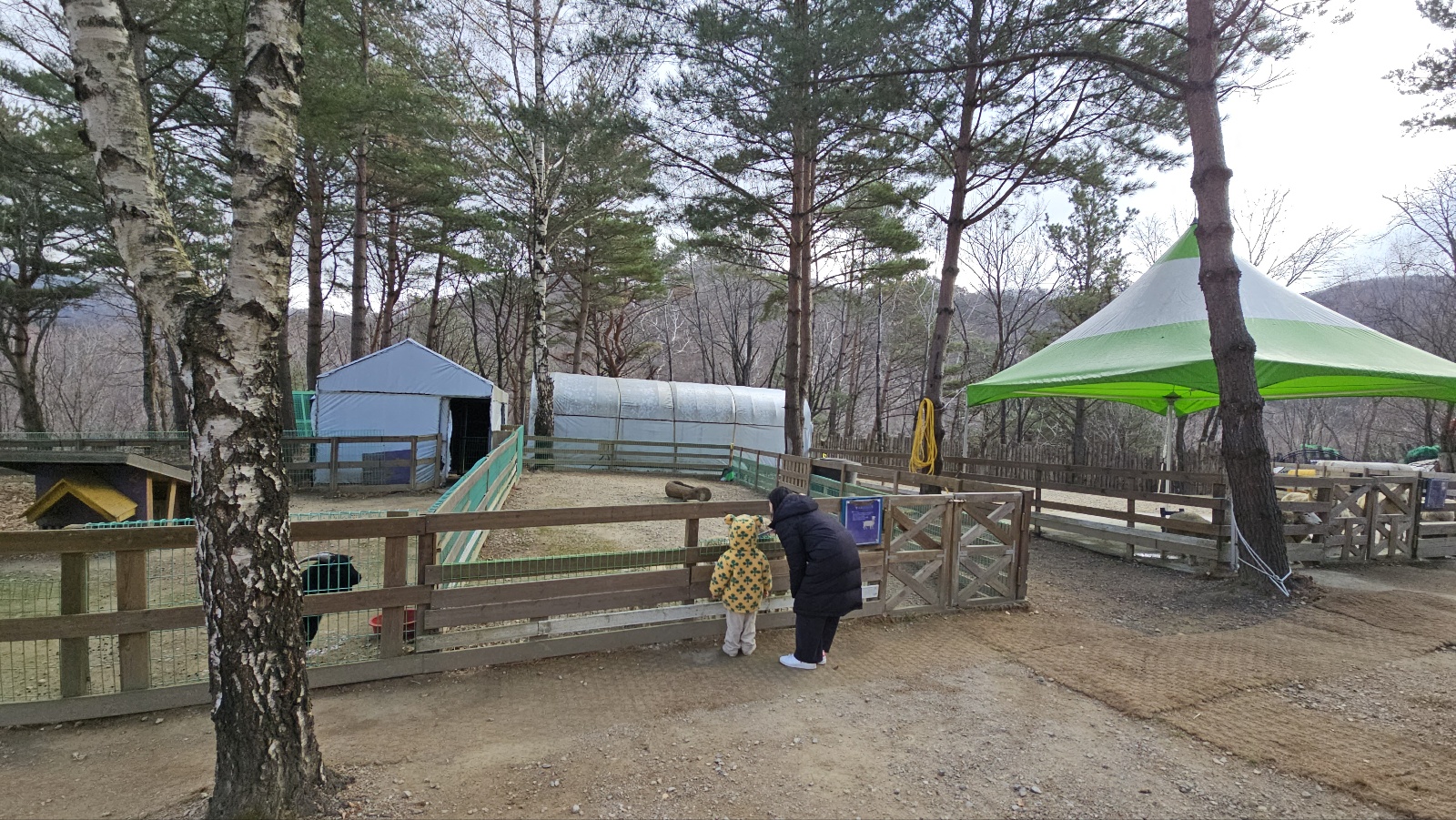 [24.11월] 아이와 평창 #1 - 모나 용평리조트 애니포레🏔️