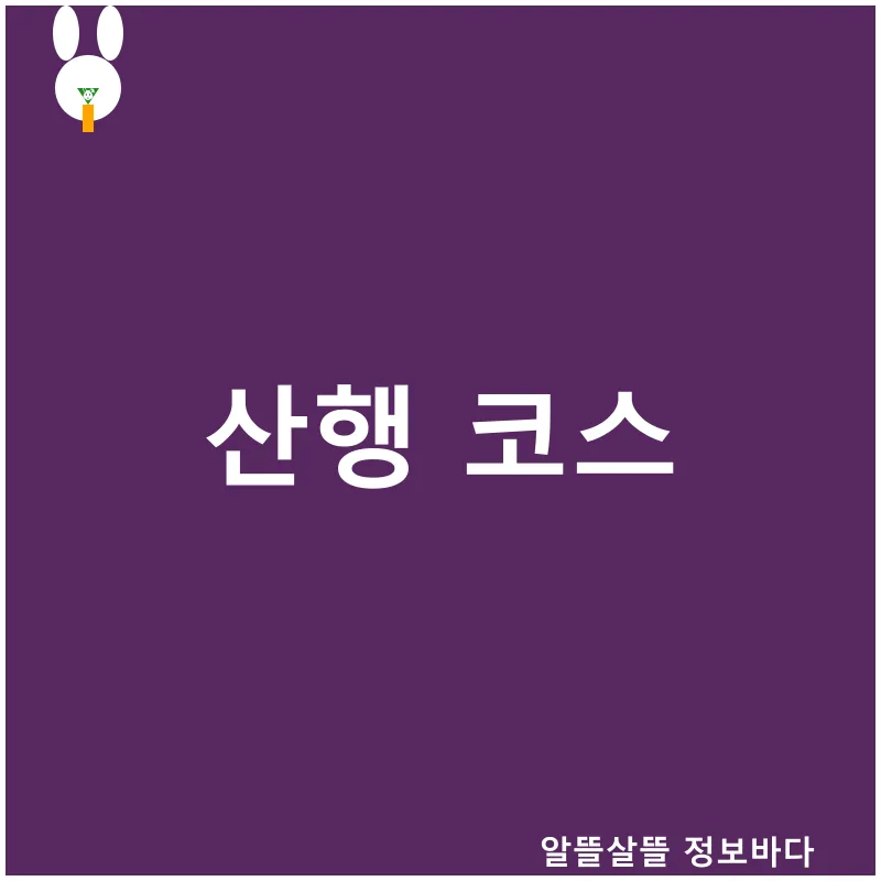 제주도뚜벅이여행_1