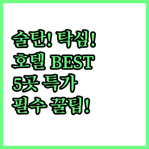 이스탄불 호텔 5곳 술탄아흐메트 탁심..