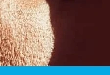 눈 영양제 추천 BEST 5&amp;#44; 놓치면 후회! 