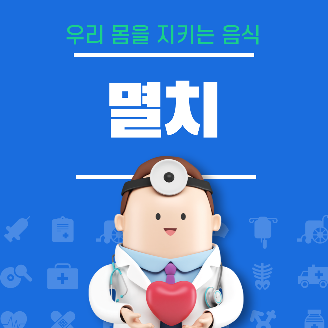 멸치의 효능