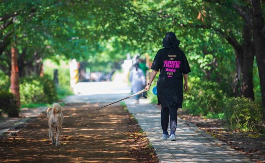 장운동에 좋은 운동