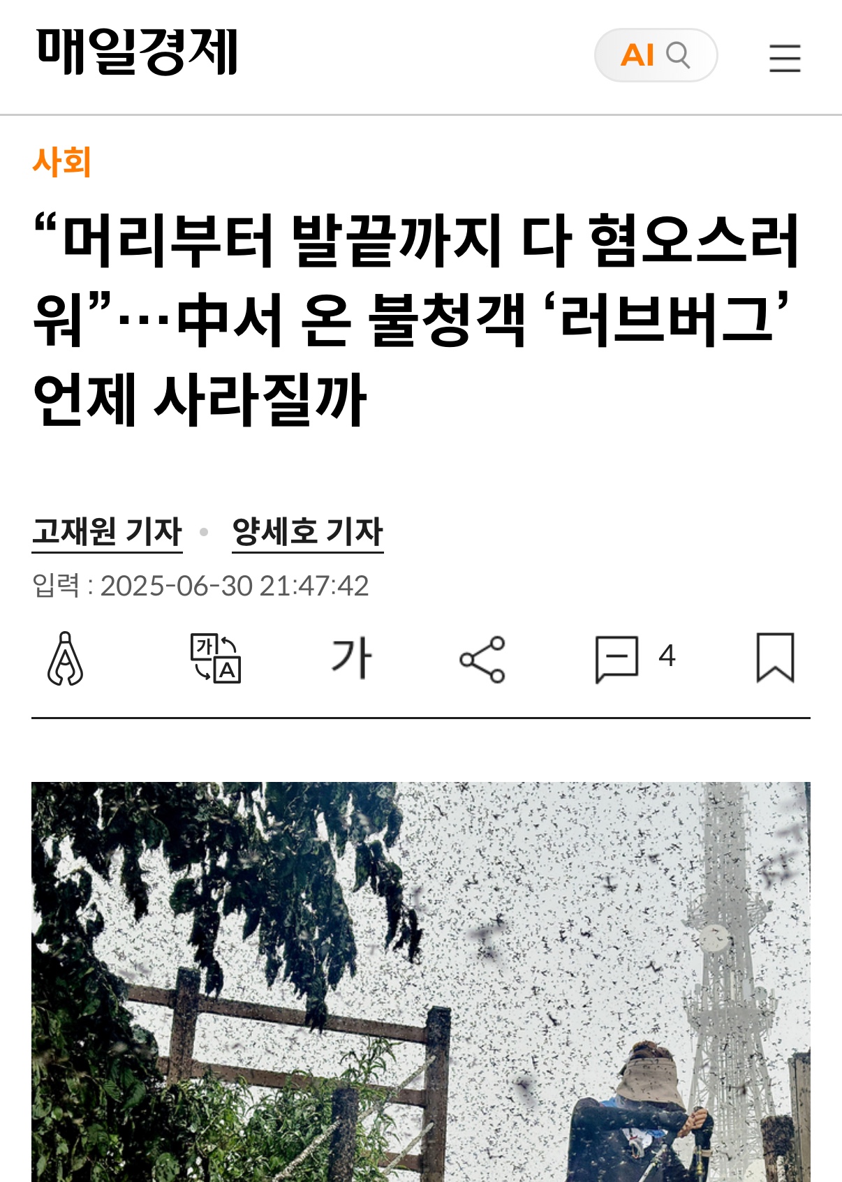 러그버그