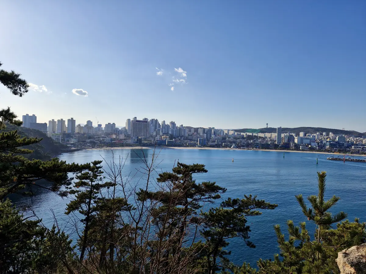 출렁다리 건너서 보이는 해안선