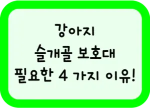 강아지 슬개골 보호대