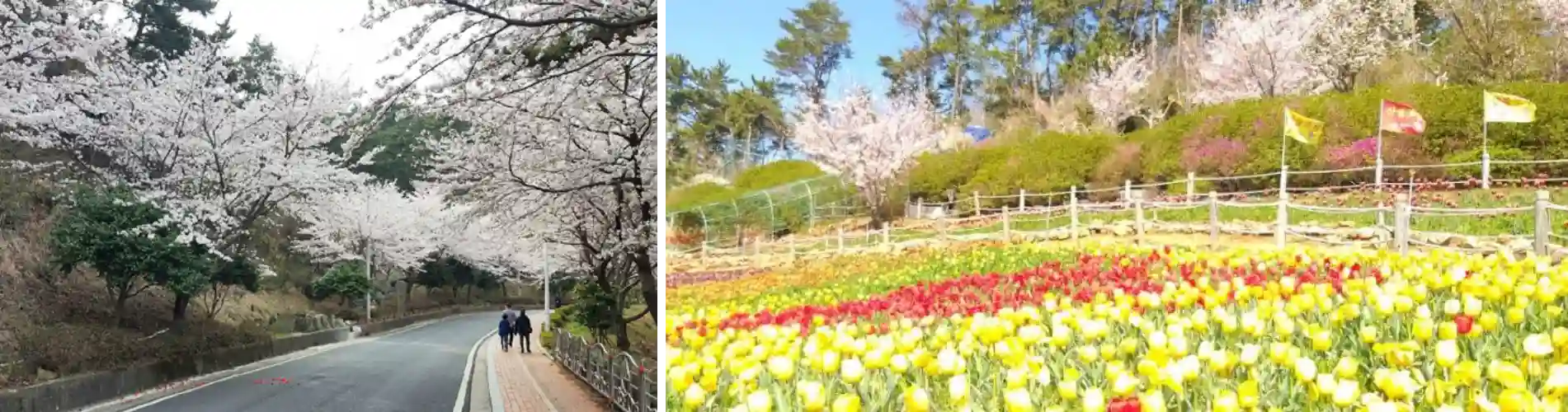 양지암조각공원 사진