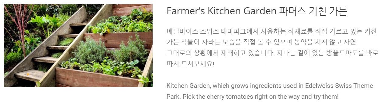 에델바이스 스위스 테마파크