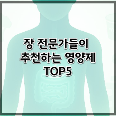 장 건강 영양제 TOP 5 – 기능의학에서 추천하는 보충제